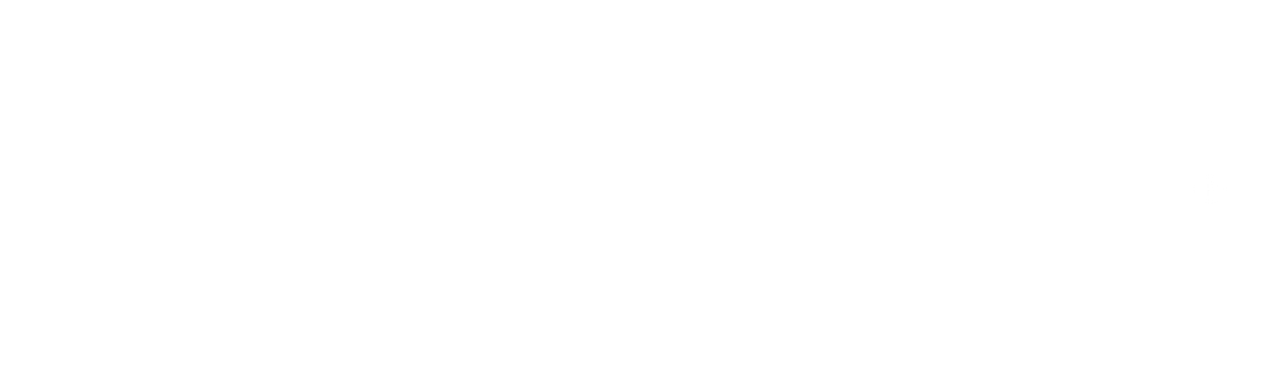 logo_ecole_scanneurs_blanc_hdb