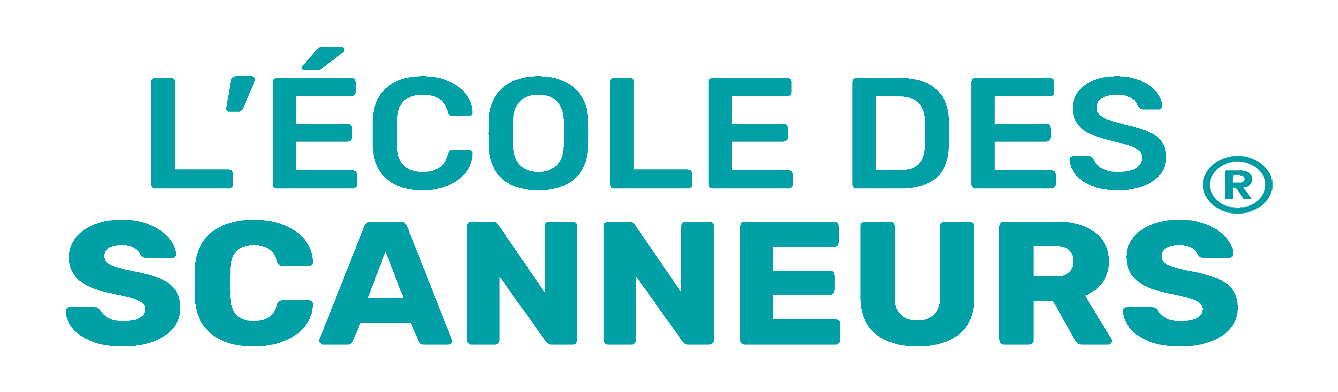 logo_ecole_scanneurs_bleuvert_hd
